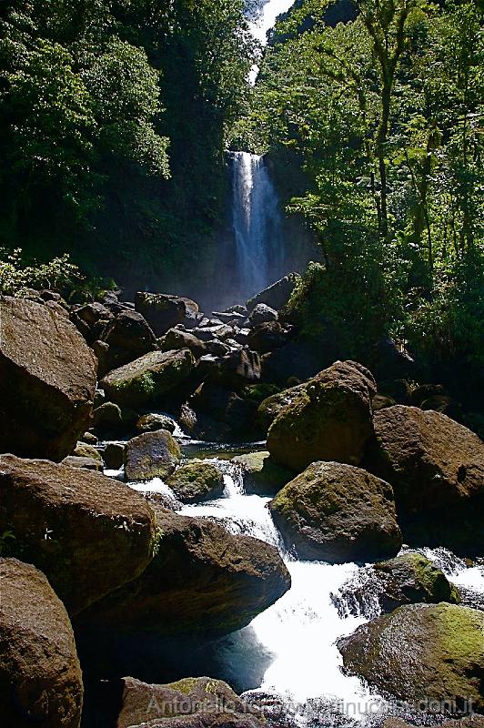 DOMINICA - Una delle Cascate di Trafalgar.jpg